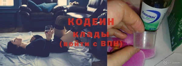 молекула духа Алзамай