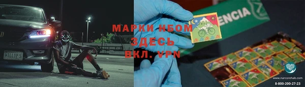 сатива Арсеньев
