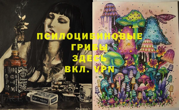 молекула духа Алзамай