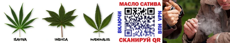 Купить где  Шуя  ТГК концентрат 