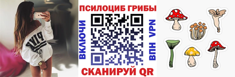 Купить  Шуя  Псилоцибиновые грибы прущие грибы 